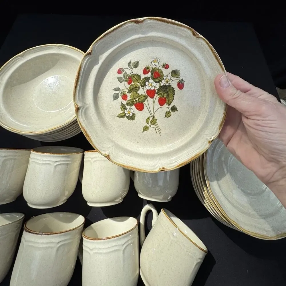 Vintage 1960’s Endura Collection LA FRAISE Strawberries Plate Bowl Saucer & Mugs